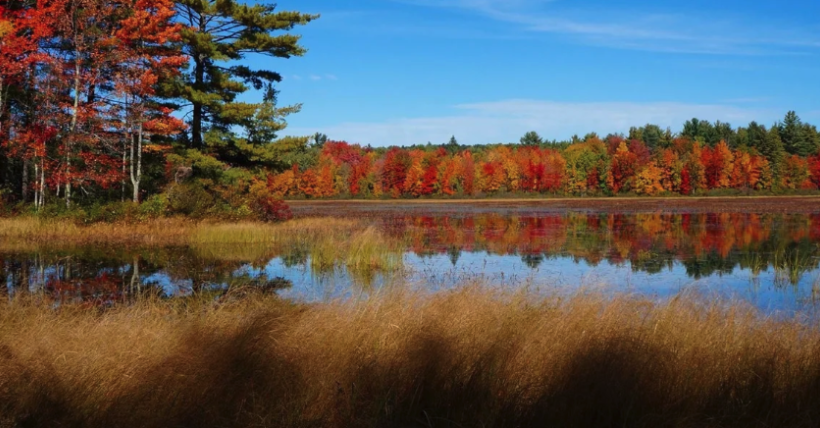 Lake Life Local Events October 20th - October 26th